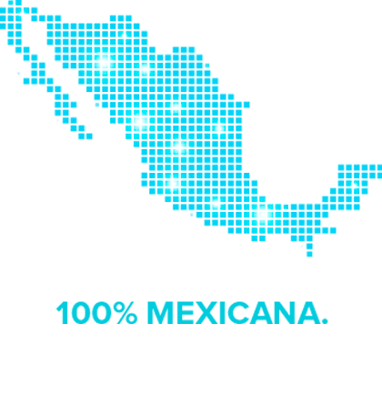 Empresa 100% mexicana